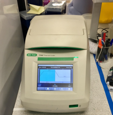 Using PCR machine for DNA incubation!